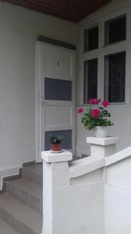 Gelena Гостьовий Двір Uzhhorod Bagian luar foto